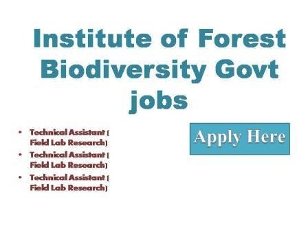 Institute of Forest Biodiversity Govt jobs in Hyderabad
