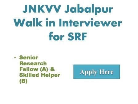 JNKVV Jablpur Walk in Interviewer for SRF