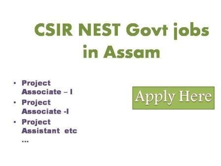 CSIR NEST Govt jobs in Assam