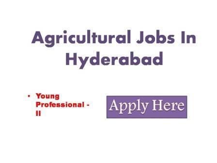 Agriculture Jobs In Hyderabad 2022 Interested candidates are requested to attend walk an interview for the post of Young Professional - II