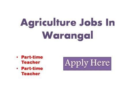 Agriculture Jobs In Warangal 2022