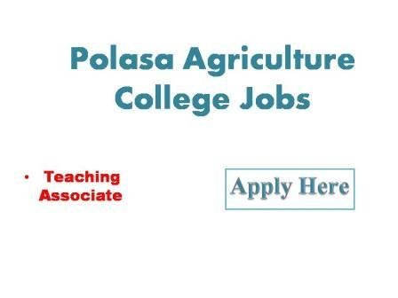 Polasa Agriculture College Jobs 2022